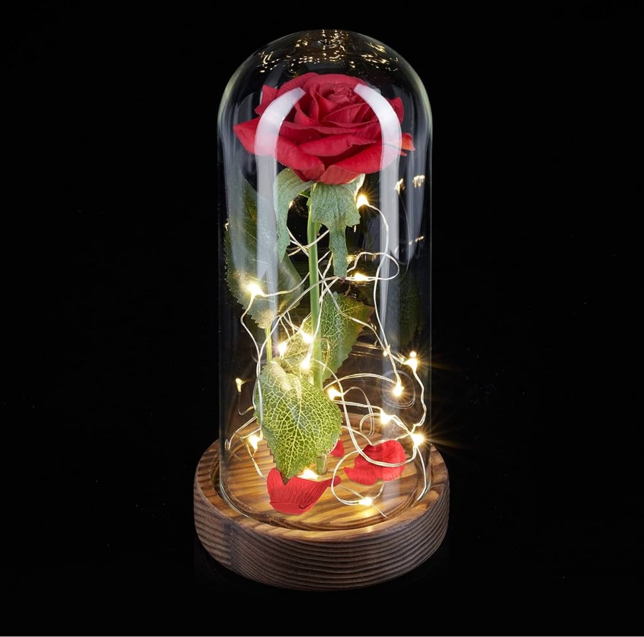Red Rose in Glass Dome with Wooden Base